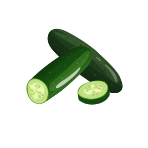 خیار